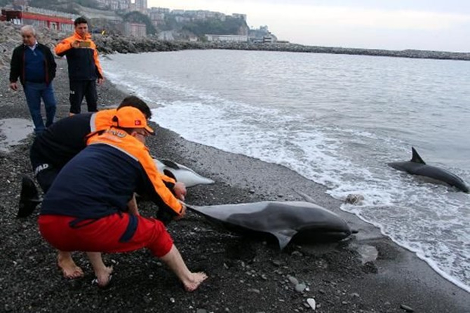 yunus1-003.jpg yunus1-003.jpg