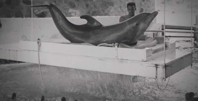 yunus3-001.jpg yunus3-001.jpg