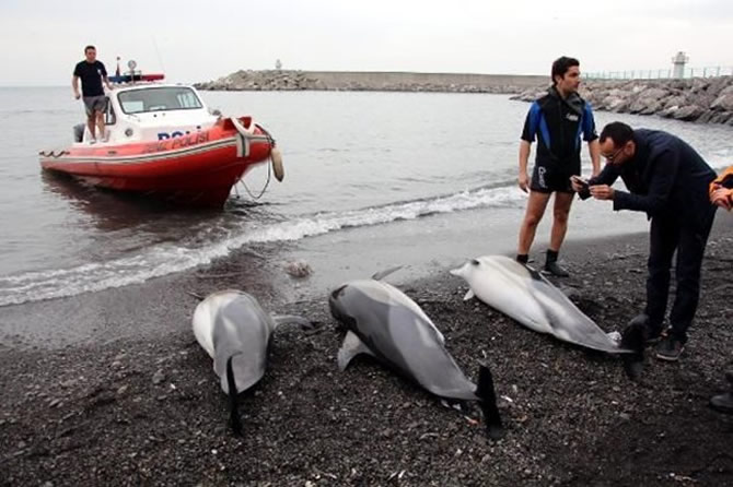 yunus3-002.jpg yunus3-002.jpg