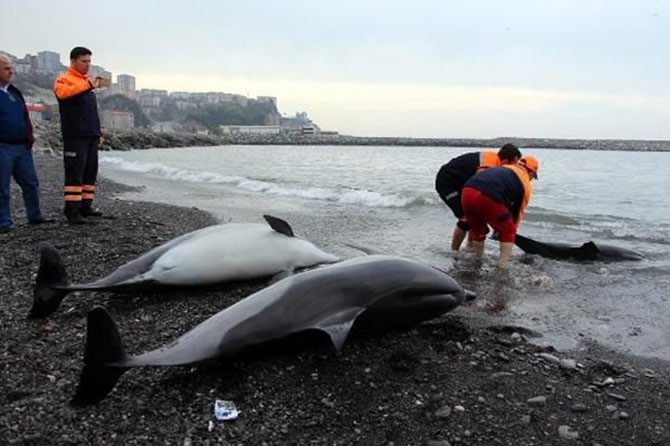 yunus4-002.jpg yunus4-002.jpg