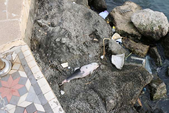 yunus_1-001.jpg yunus_1-001.jpg