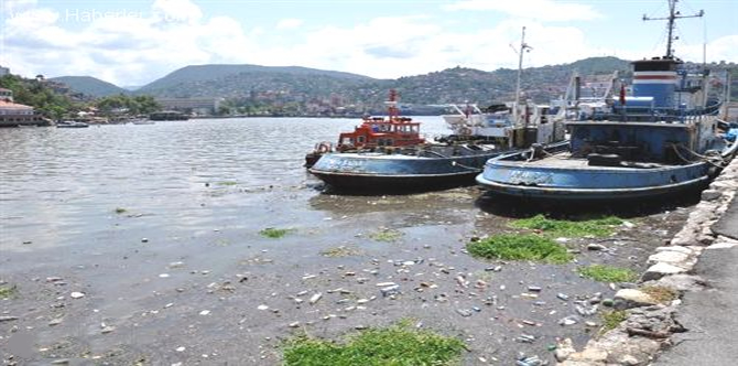 z3-001.jpg z3-001.jpg