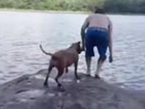 Sahibi göle atlayınca korkudan ağlayan köpek